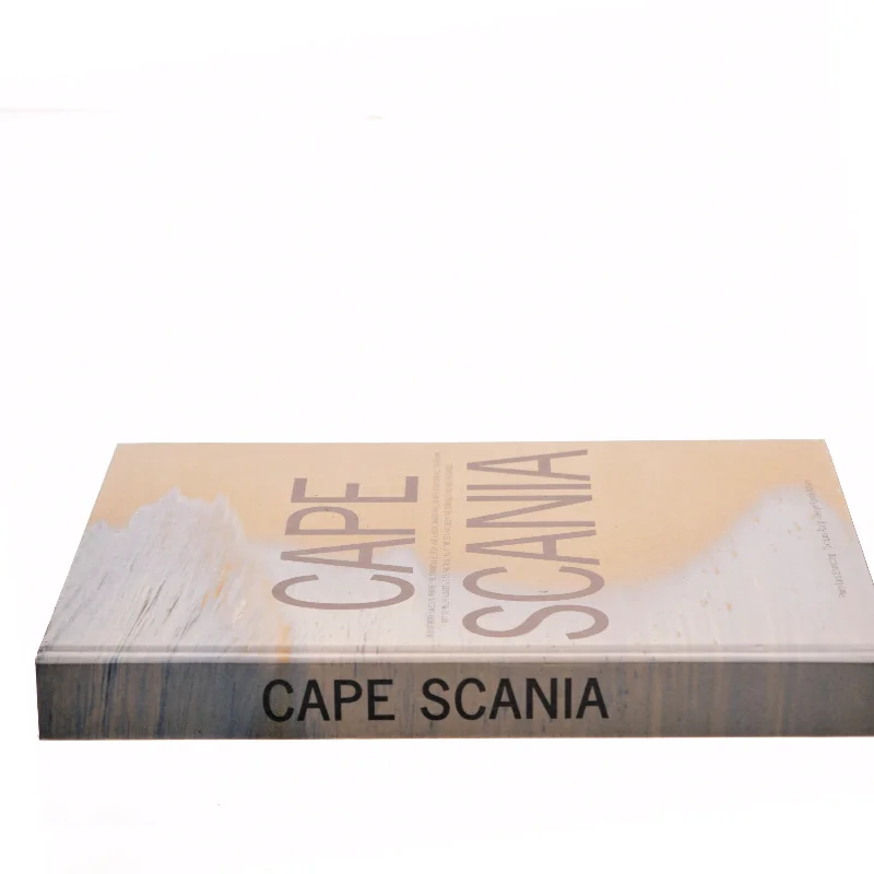 Cape Scania af Lars Åberg (Bog)