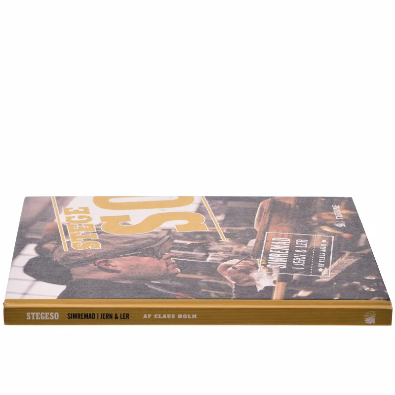 Stegeso : simremad i jern & ler af Claus Julius Holm (Bog)