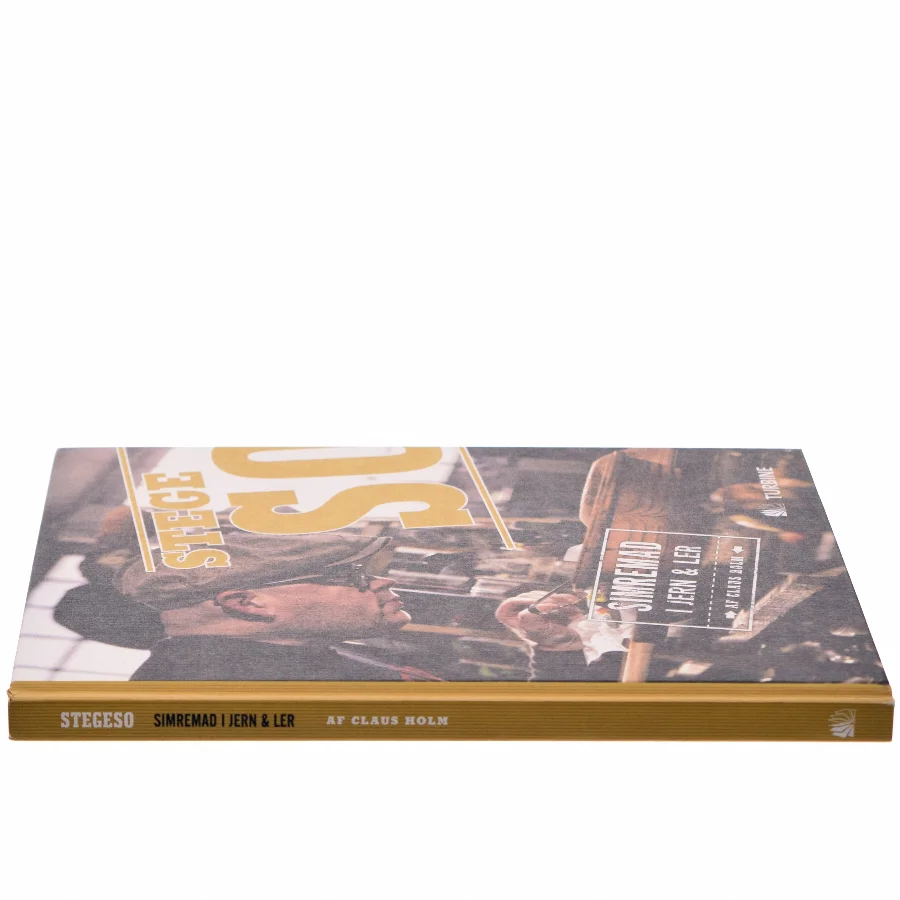 Stegeso : simremad i jern & ler af Claus Julius Holm (Bog)
