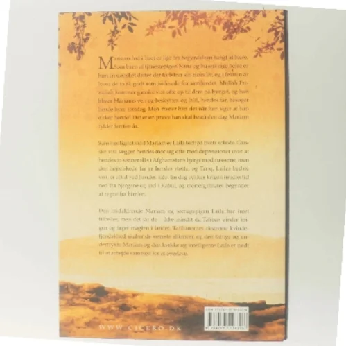 Under en strålende sol af Khaled Hosseini (Bog)