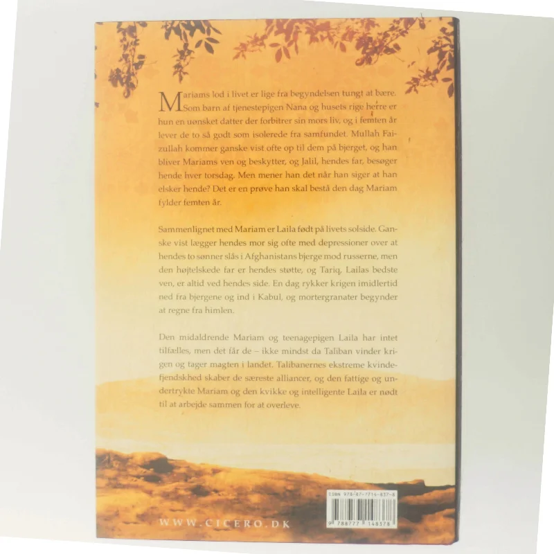 Under en strålende sol af Khaled Hosseini (Bog)