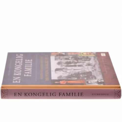 En kongelig familie : historien om Christian 9. og hans europæiske efterslægt af Anna Lerche (Bog)