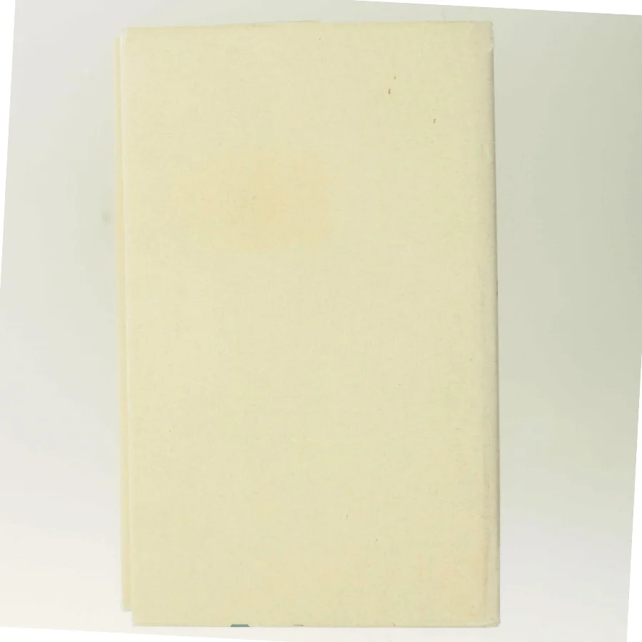 Skriverjomfruen af Mette Winge (Bog)