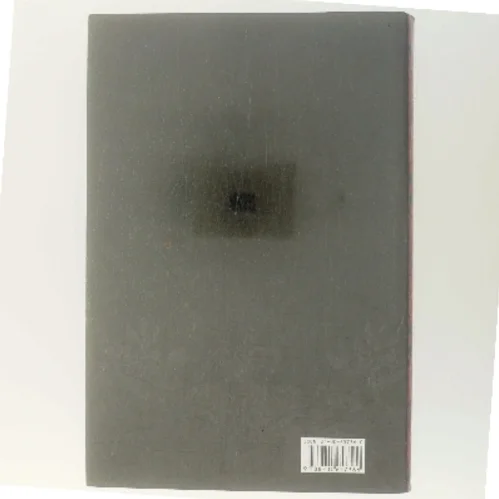 Jomfrudronningen af Susan Kay (Bog)