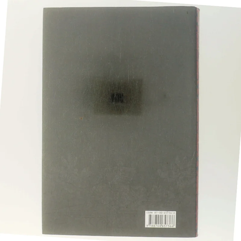 Jomfrudronningen af Susan Kay (Bog)