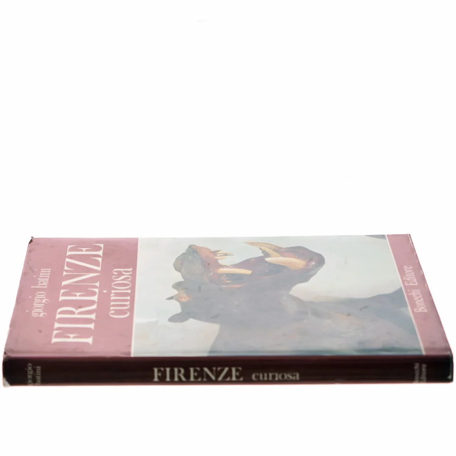 Firenze Curiosa af Giorgio Batini (Bog)