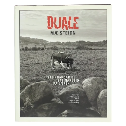 Duale mæ Steidn af Helge Haugen (Bog)