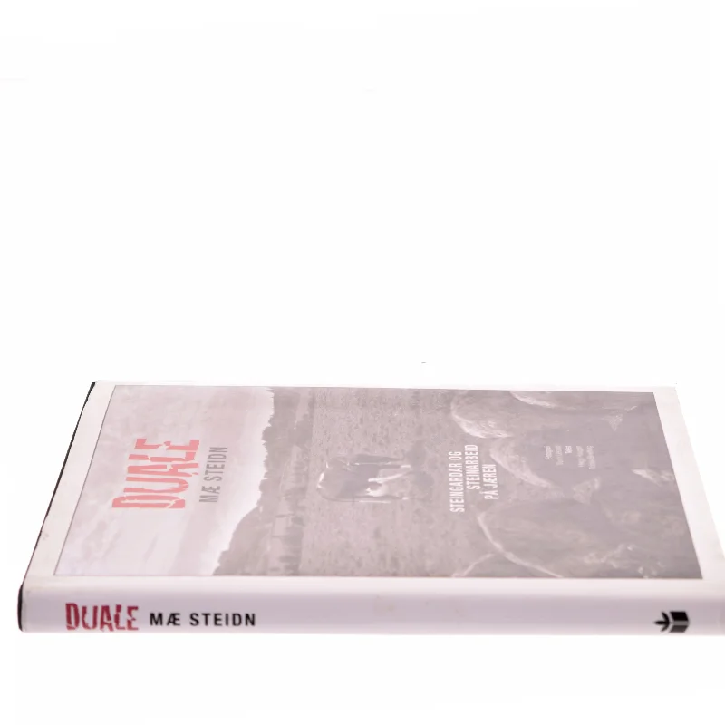 Duale mæ Steidn af Helge Haugen (Bog)