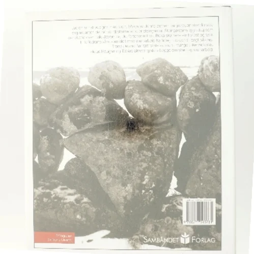 Duale mæ Steidn af Helge Haugen (Bog)