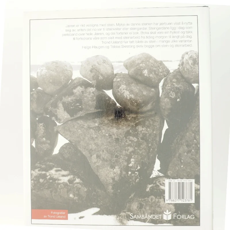 Duale mæ Steidn af Helge Haugen (Bog)