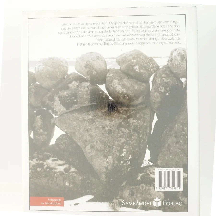 Duale mæ Steidn af Helge Haugen (Bog)