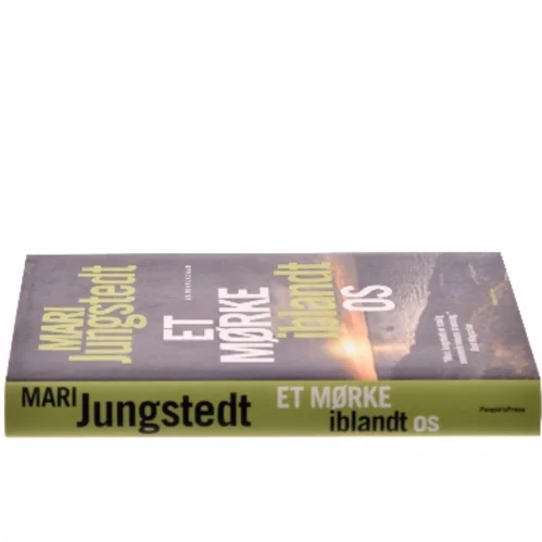 Et mørke iblandt os : kriminalroman af Mari Jungstedt (Bog)