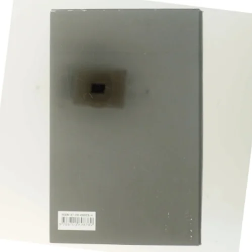 Soning : roman af Ian McEwan (Bog)