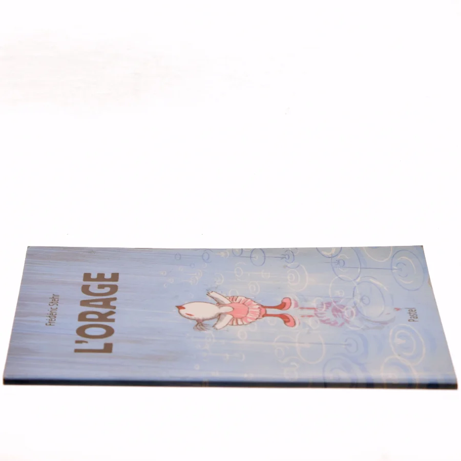 L'orage af Frédéric Stehr (Bog)