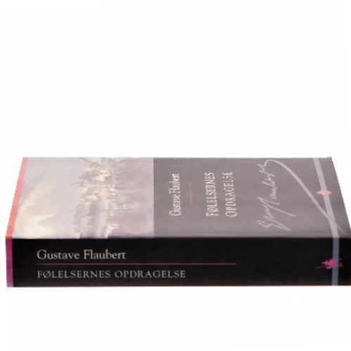 Følelsernes opdragelse : roman af Gustave Flaubert (Bog)