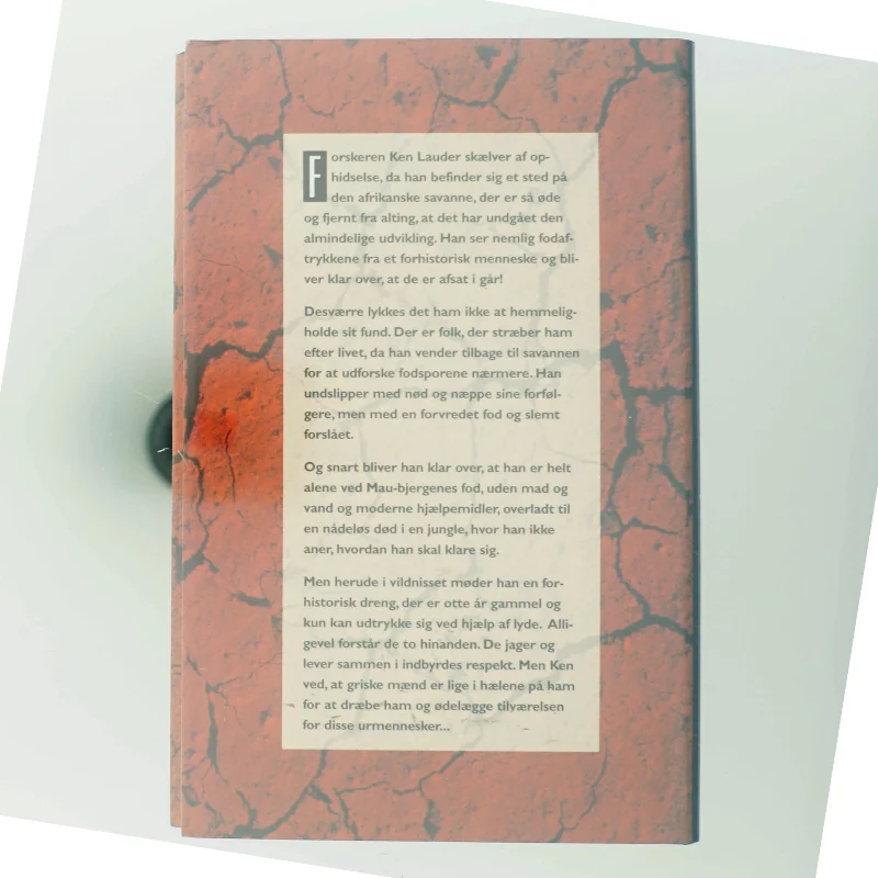 Roman 'Et aftryk fra fortiden' af Petru Popescu