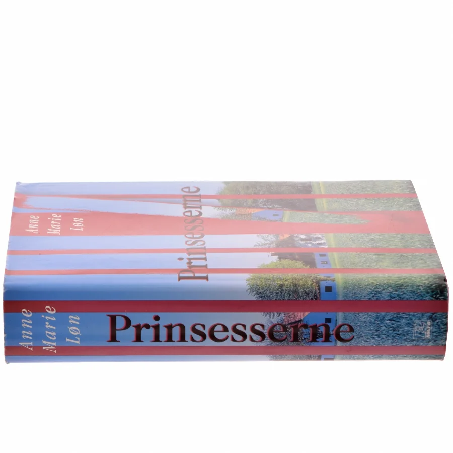 Prinsesserne af Anne Marie Løn (Bog)