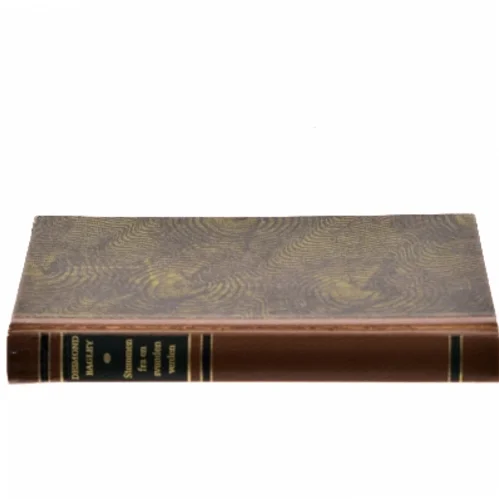 Stemmen fra en svunden verden af Desmond Bagley (Bog)