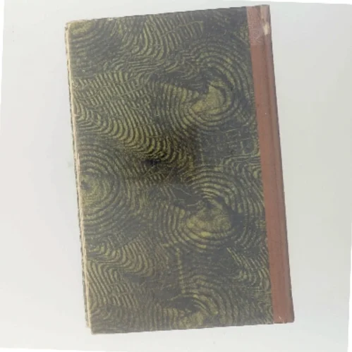 Stemmen fra en svunden verden af Desmond Bagley (Bog)