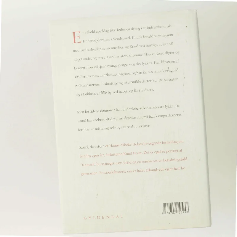 Knud, den store : roman af Hanne-Vibeke Holst (Bog)