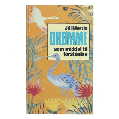 Drømme som middel til forståelse af Jill Morris (Bog)