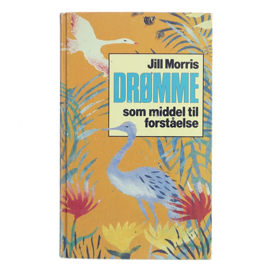 Drømme som middel til forståelse af Jill Morris (Bog)