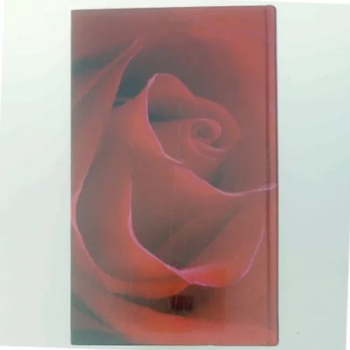 Den grønne port af Jane Aamund (Bog)