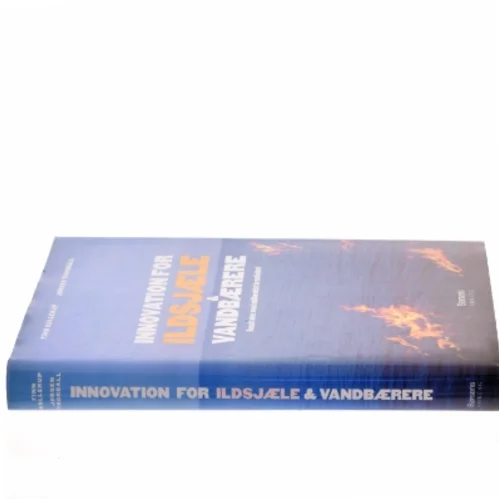 Innovation for ildsjæle & vandbærere : resultater med målbevidst kreativitet (Bog)