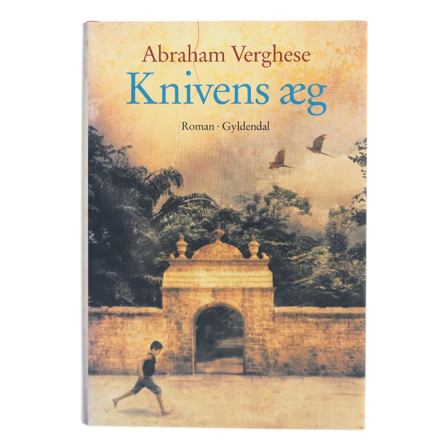 Knivens æg : roman af Abraham Verghese (Bog)