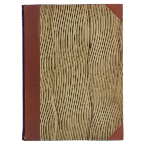 Anordning af Nimbus Fuglejagtsmotorcykel af Henning Aspholm (Bog)