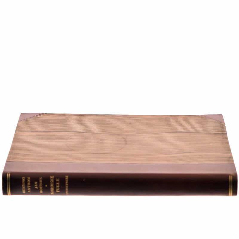 Anordning af Nimbus Fuglejagtsmotorcykel af Henning Aspholm (Bog)