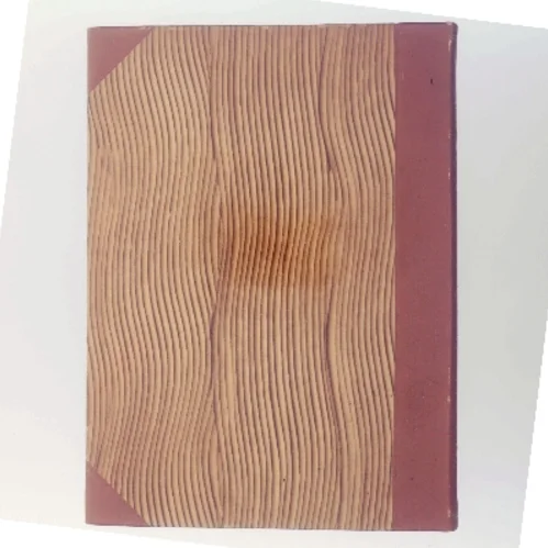 Anordning af Nimbus Fuglejagtsmotorcykel af Henning Aspholm (Bog)