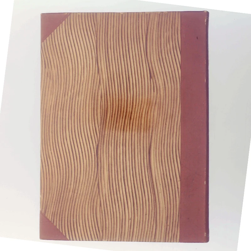 Anordning af Nimbus Fuglejagtsmotorcykel af Henning Aspholm (Bog)