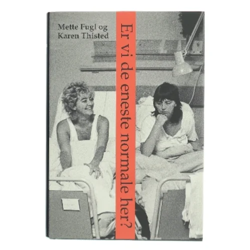 Er vi de eneste normale her? : noter, anekdoter og samtaler om visse erindringer (Bog)