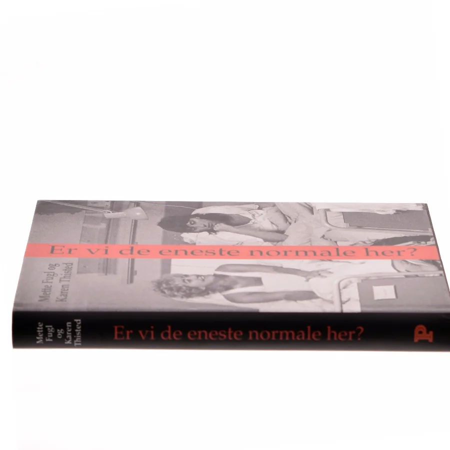 Er vi de eneste normale her? : noter, anekdoter og samtaler om visse erindringer (Bog)