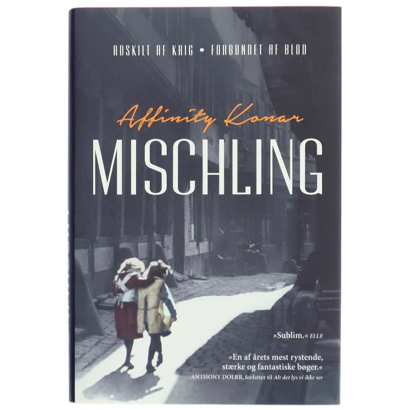 Mischiling af Affinity Konan (Bog)