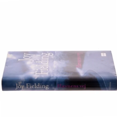 Hævnens vej af Joy Fielding (Bog)