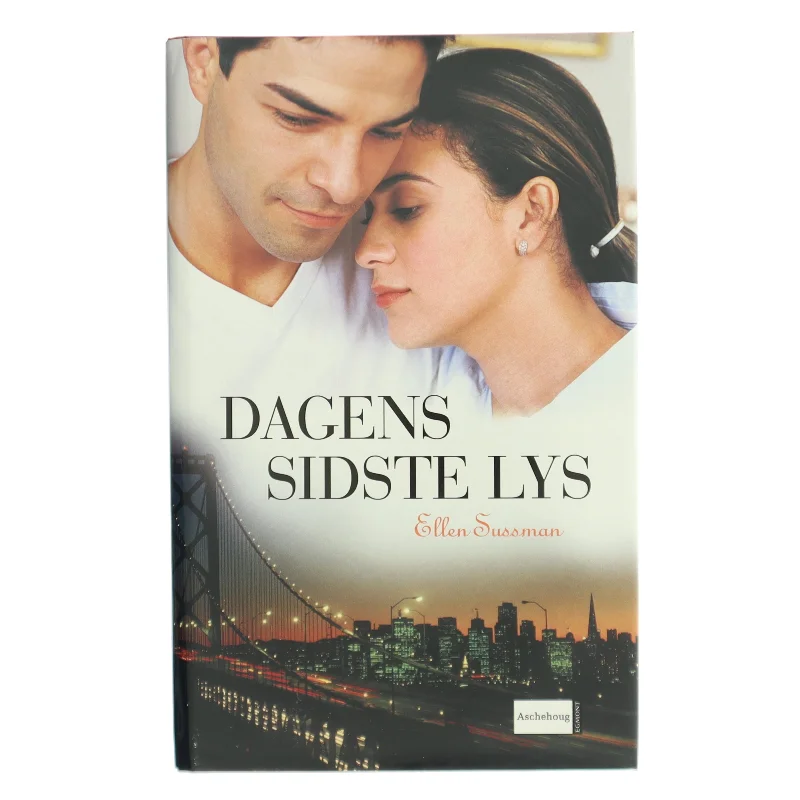 Dagens sidste lys af Ellen Sussman (Bog)