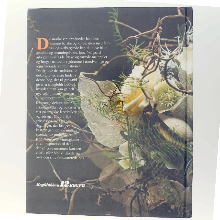 Vinterglæder af Jane Nørgaard (Bog)