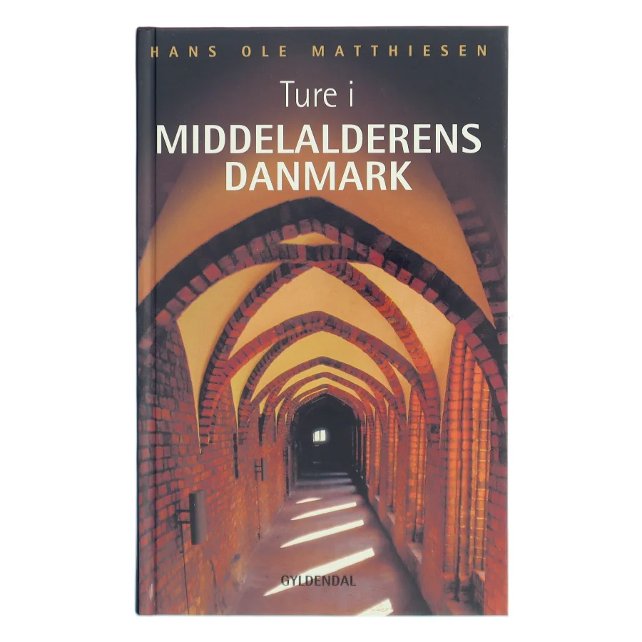 Ture i middelalderens Danmark af Hans Ole Matthiesen (Bog)