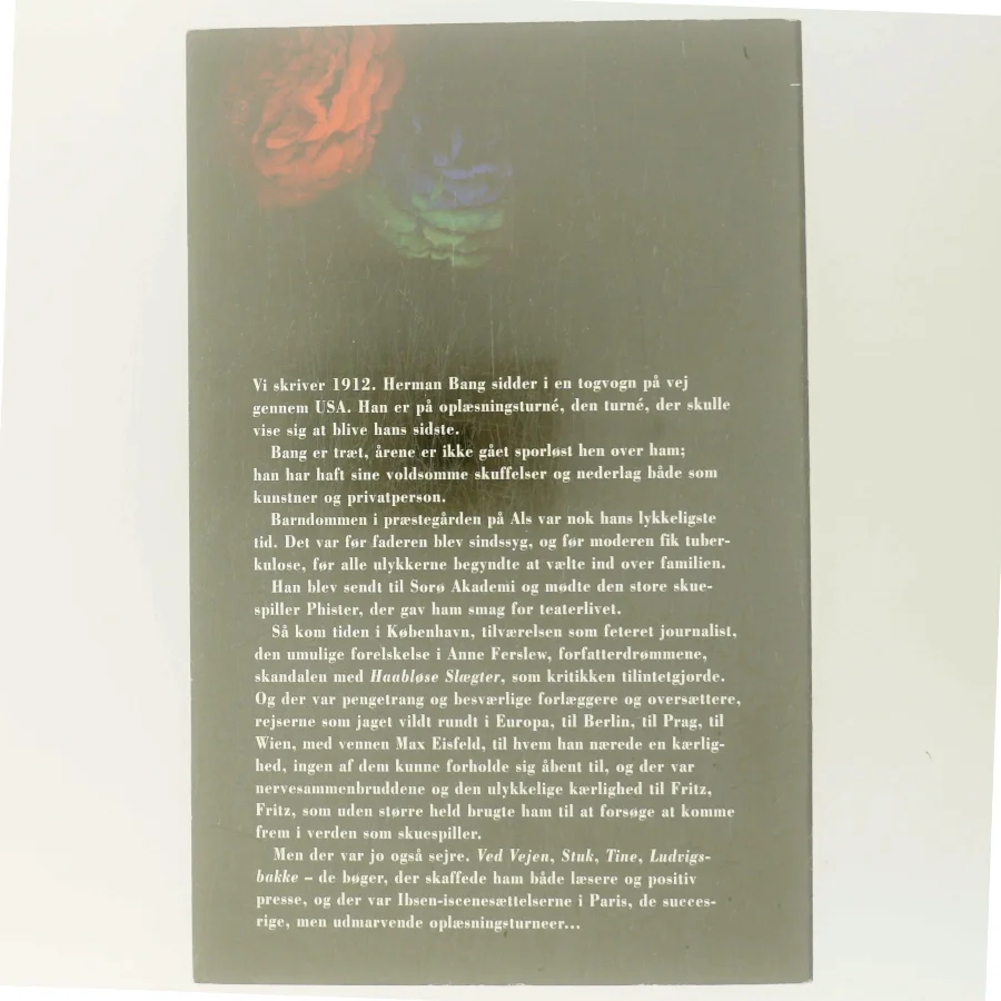 Bang af Dorrit Willumsen (Bog)