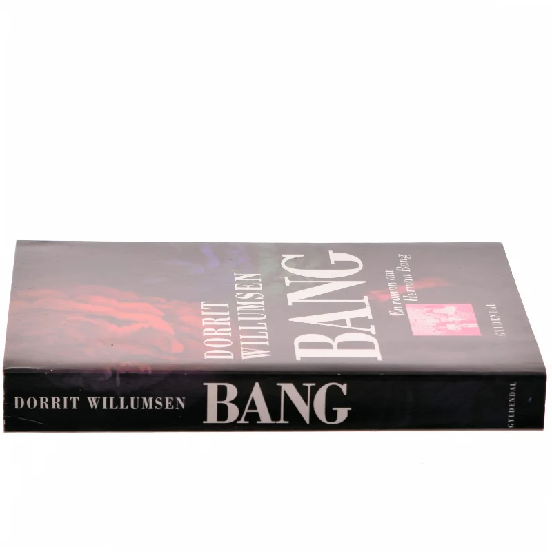 Bang af Dorrit Willumsen (Bog)