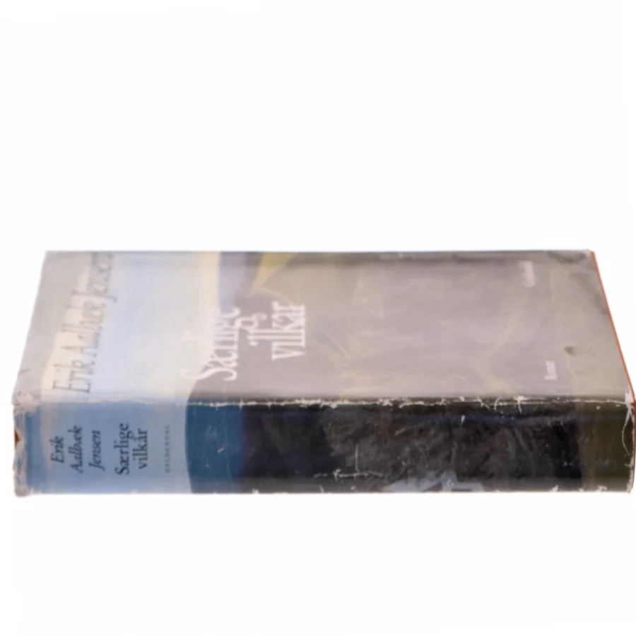 Særlige vilkår : roman af Erik Aalbæk Jensen (Bog)