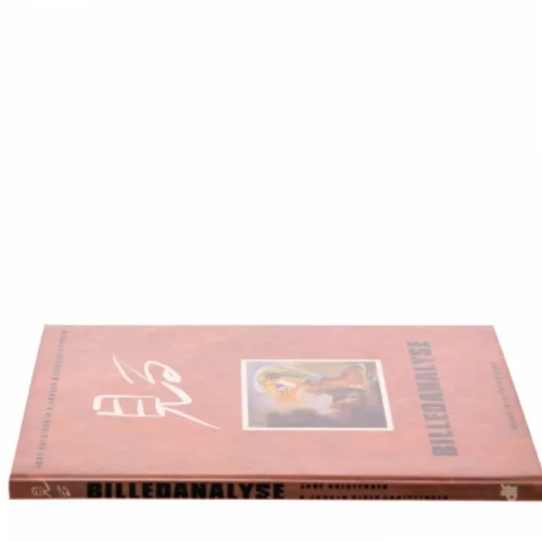 Billedanalyse af Jane Kristensen (Bog)