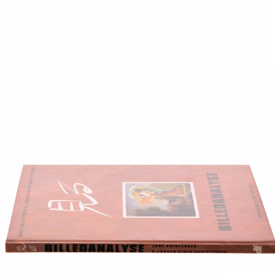 Billedanalyse af Jane Kristensen (Bog)