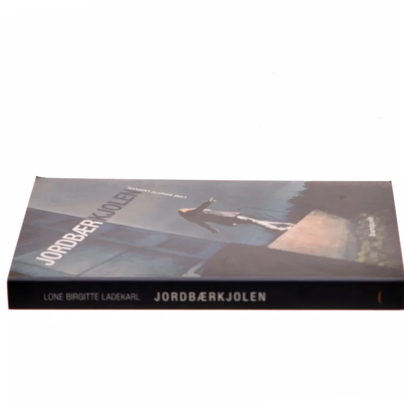 Jordbærkjolen af Lone Birgitte Ladekarl (Bog)