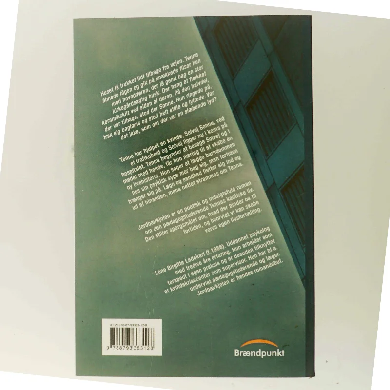 Jordbærkjolen af Lone Birgitte Ladekarl (Bog)