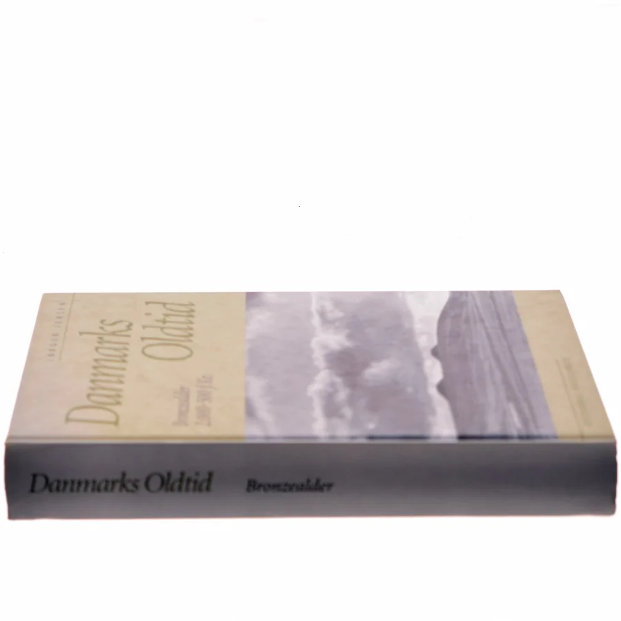 Danmarks Oldtid af Jørgen Jensen (Bog)