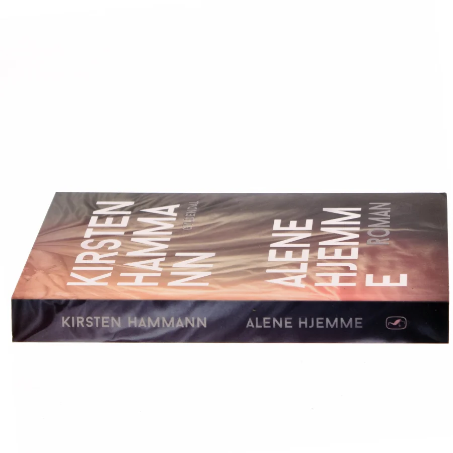 Alene hjemme : roman (Klassesæt) af Kirsten Hammann (Bog)