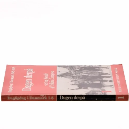 Dagen derpå af Malin Lindgren (Bog)